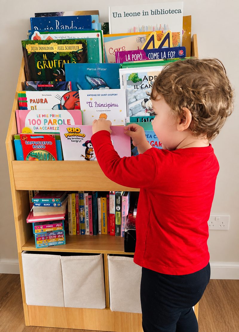 Toddler choosing Rio Pinguino: My Brother is Hangry! from a bilingual bookshelf
